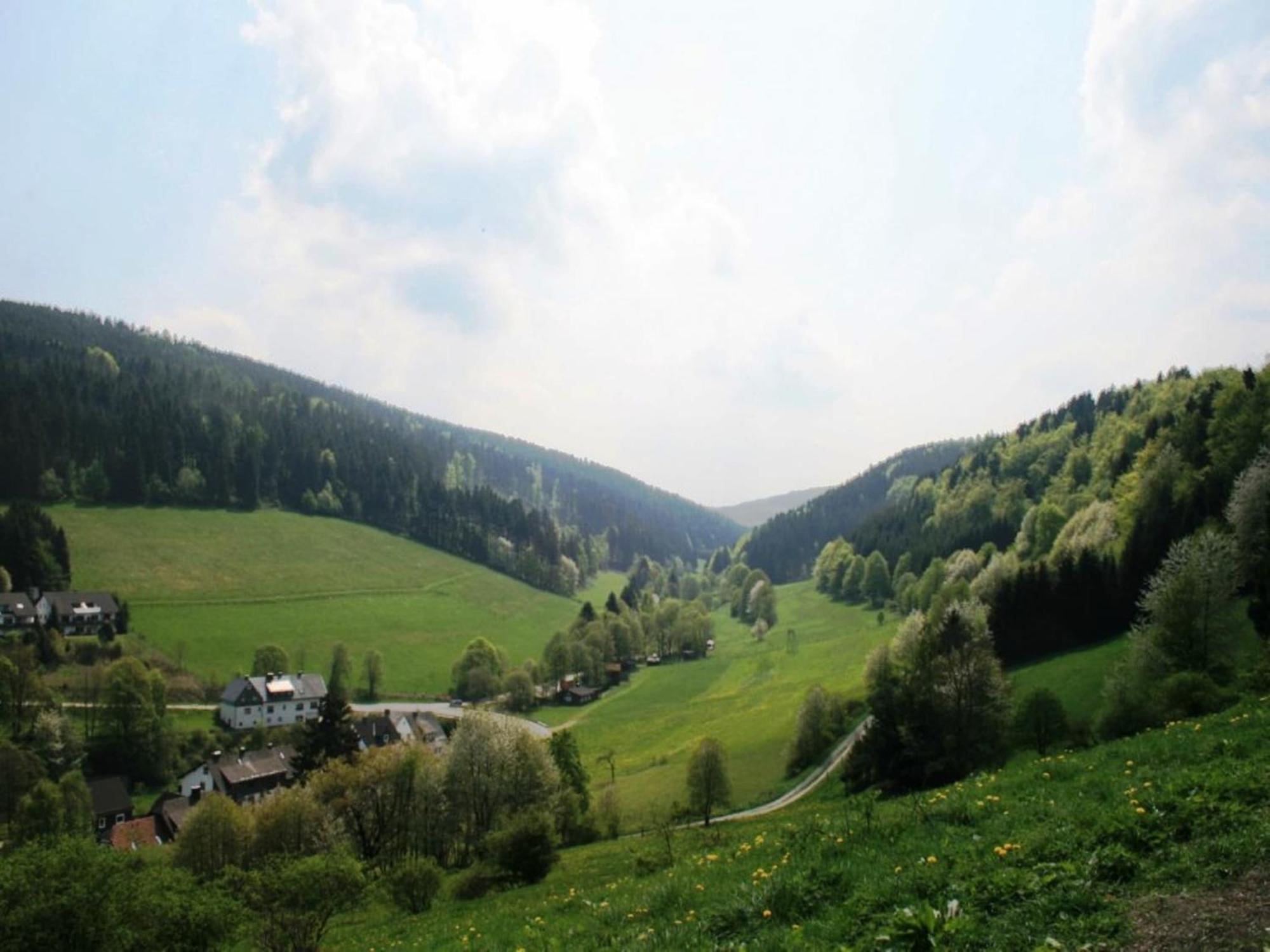 Large Holiday Home In Willingen With Private Garden And Several Terraces Zewnętrze zdjęcie