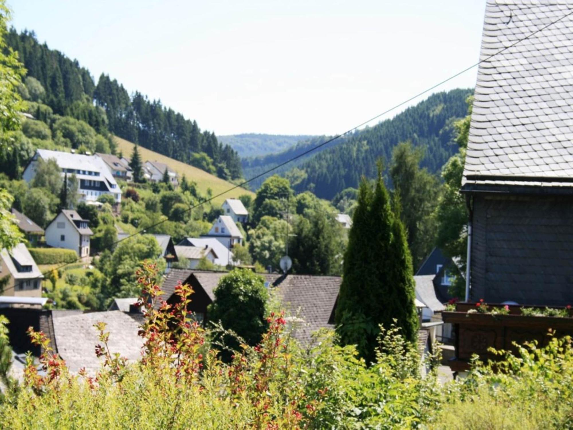 Large Holiday Home In Willingen With Private Garden And Several Terraces Zewnętrze zdjęcie