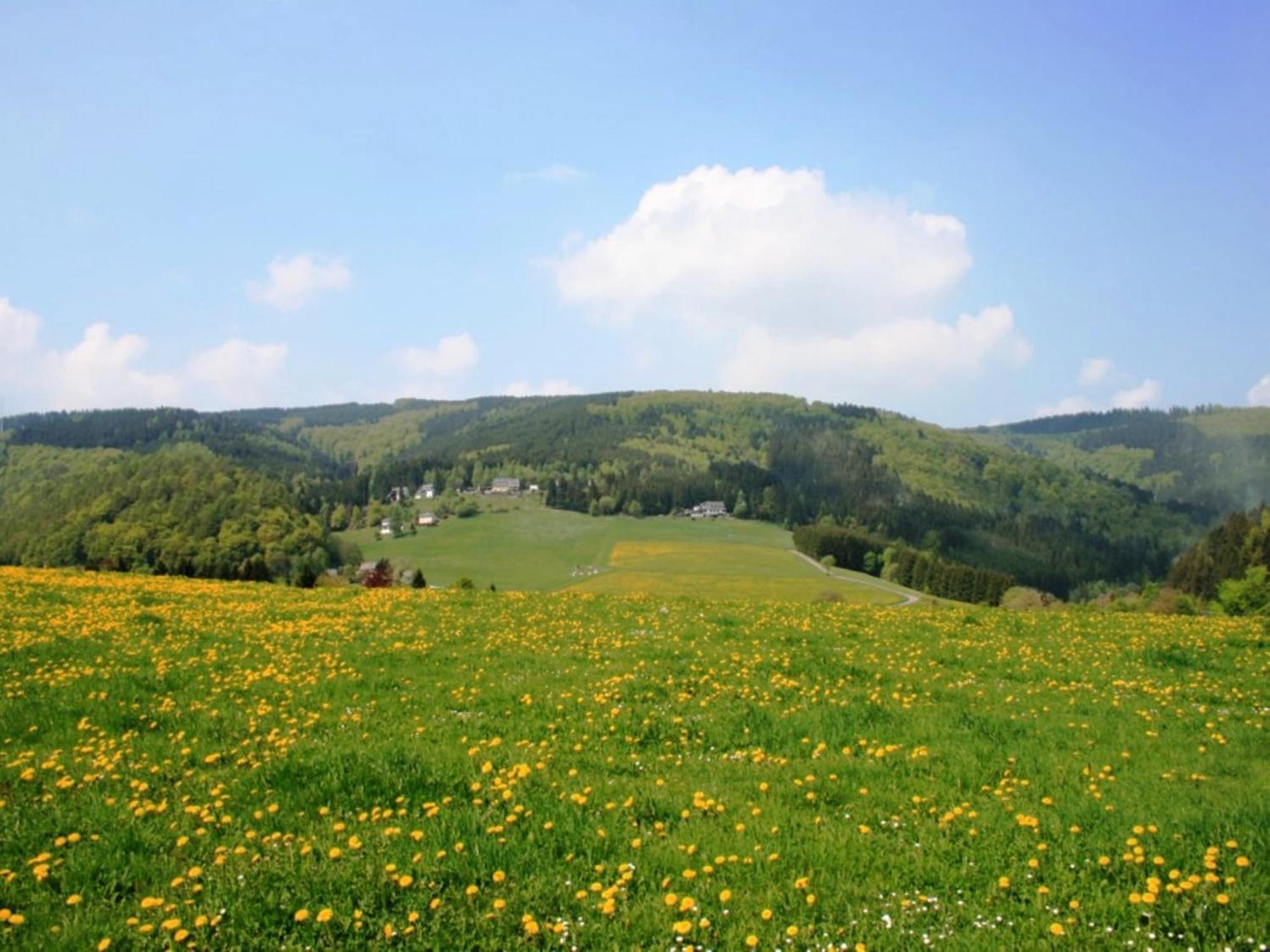 Large Holiday Home In Willingen With Private Garden And Several Terraces Zewnętrze zdjęcie