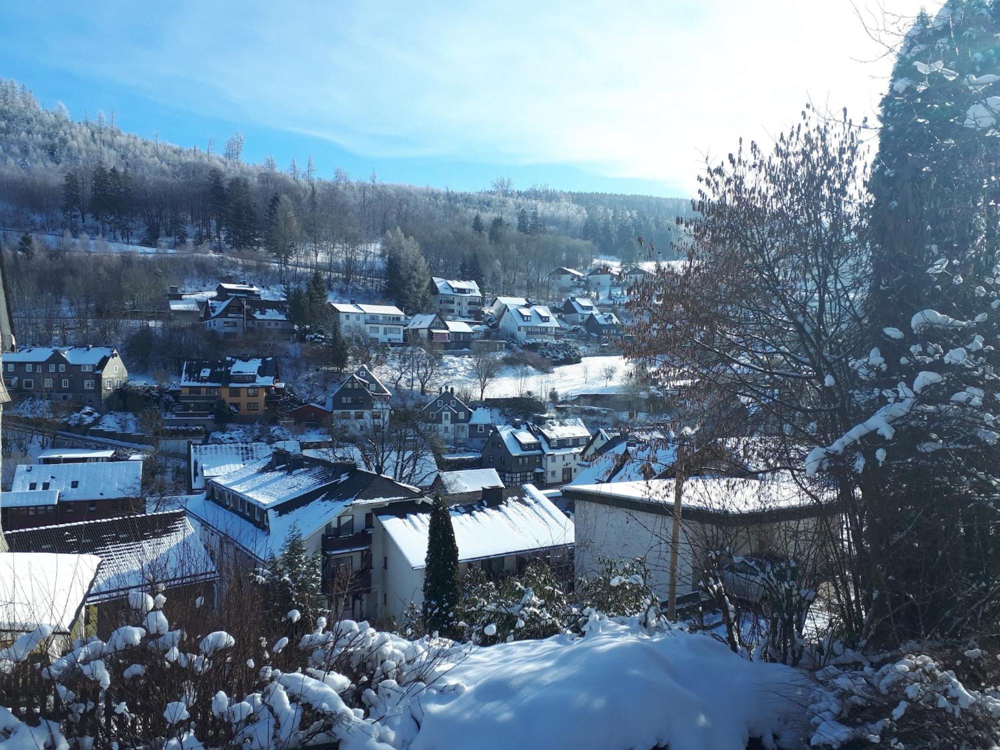 Large Holiday Home In Willingen With Private Garden And Several Terraces Zewnętrze zdjęcie