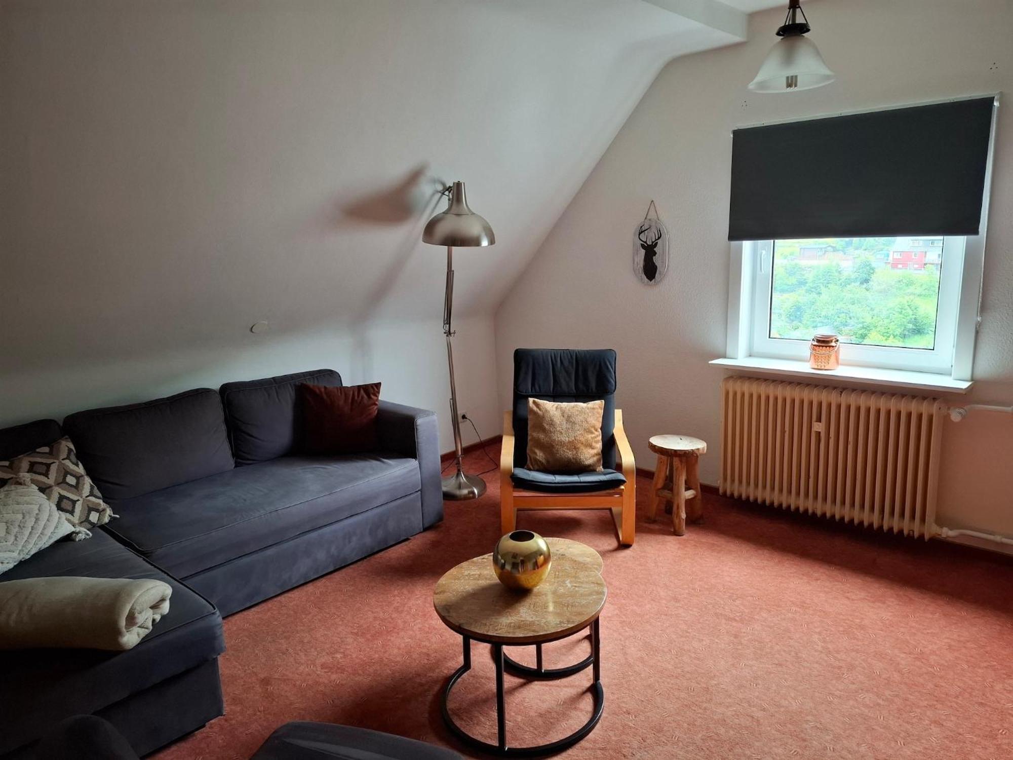 Large Holiday Home In Willingen With Private Garden And Several Terraces Zewnętrze zdjęcie